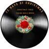 Christmas Tunes - 12 Days of Christmas (Instrumental)
